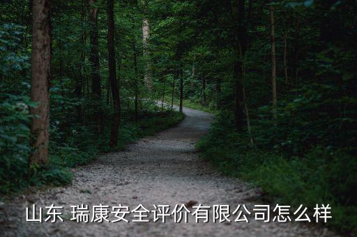 山東 瑞康安全評(píng)價(jià)有限公司怎么樣