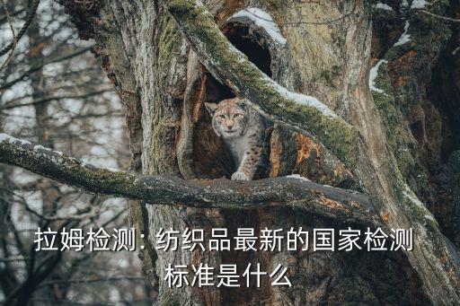 拉姆檢測(cè): 紡織品最新的國(guó)家檢測(cè) 標(biāo)準(zhǔn)是什么