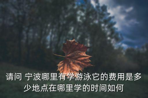請問 寧波哪里有學游泳它的費用是多少地點在哪里學的時間如何