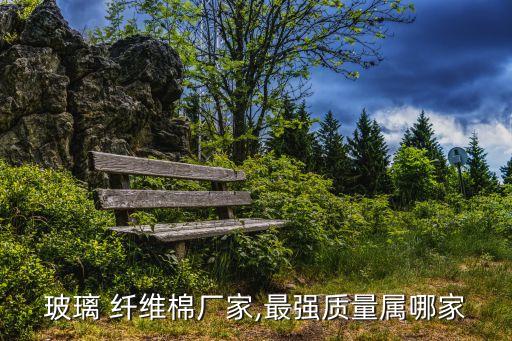 玻璃 纖維棉廠家,最強(qiáng)質(zhì)量屬哪家