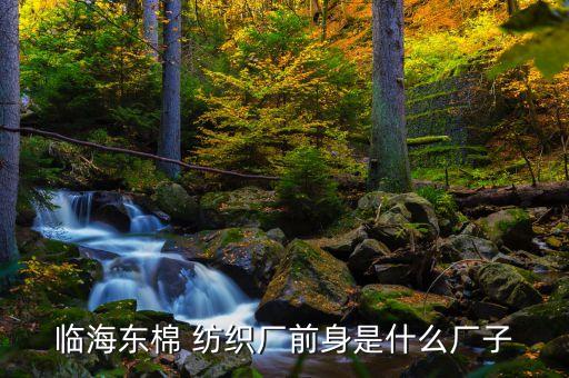 浙江剪花紡織廠,湖州剪花紡織廠