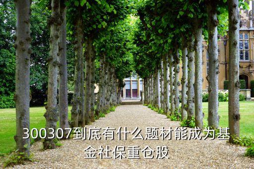 300307到底有什么題材能成為基金社保重倉股