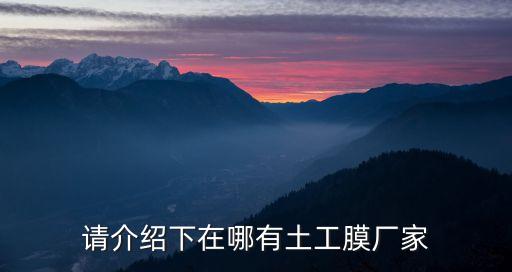 請(qǐng)介紹下在哪有土工膜廠家
