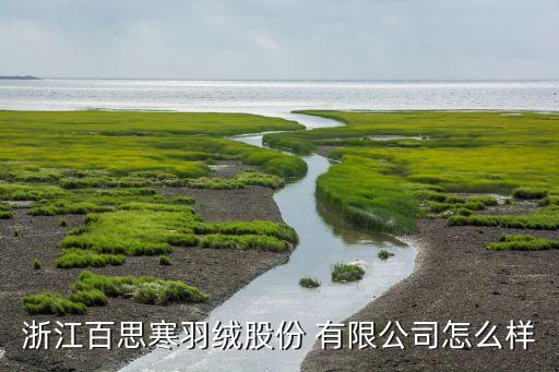 浙江百思寒羽絨股份 有限公司怎么樣