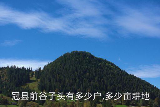  冠縣前谷子頭有多少戶,多少畝耕地
