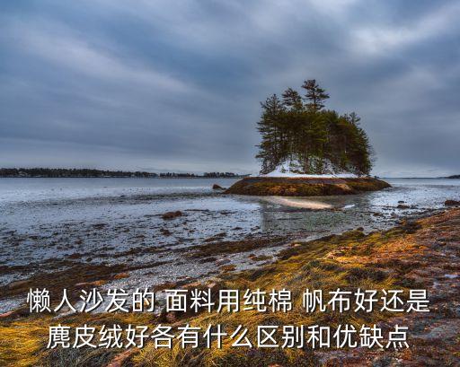 懶人沙發(fā)的 面料用純棉 帆布好還是麂皮絨好各有什么區(qū)別和優(yōu)缺點(diǎn)