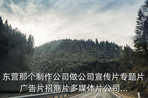 東營(yíng)那個(gè)制作公司做公司宣傳片專題片廣告片招商片多媒體片公司...