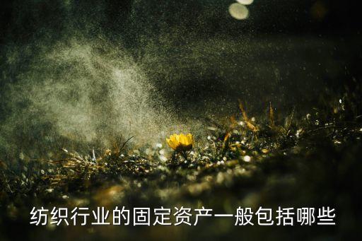  紡織行業(yè)的固定資產(chǎn)一般包括哪些