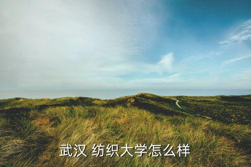 武漢 紡織大學(xué)怎么樣