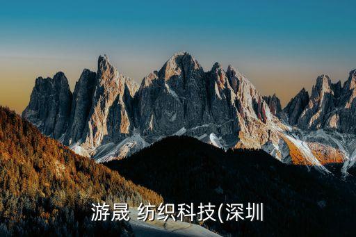 游晟 紡織科技(深圳