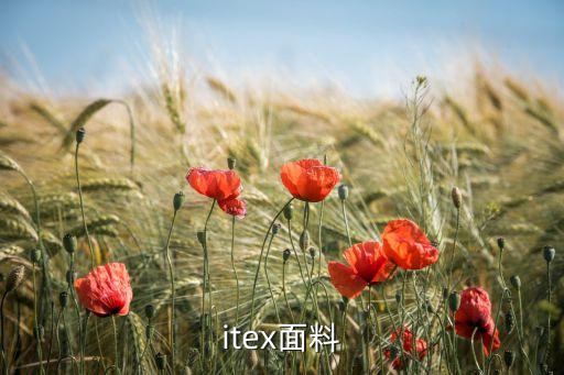 weitex面料