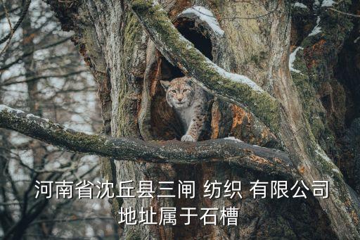  河南省沈丘縣三閘 紡織 有限公司地址屬于石槽