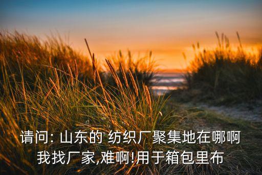 請問: 山東的 紡織廠聚集地在哪啊我找廠家,難啊!用于箱包里布