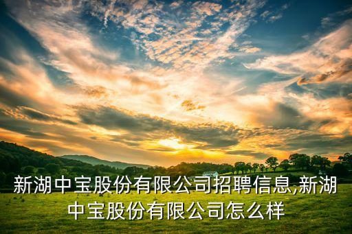 新湖中寶股份有限公司招聘信息,新湖中寶股份有限公司怎么樣