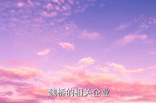  魏橋的相關企業(yè)