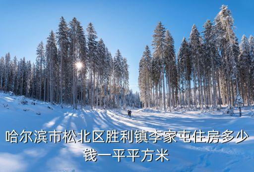 哈爾濱市松北區(qū)勝利鎮(zhèn)李家屯住房多少錢(qián)一平平方米