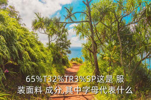 65%T32%TR3%SP這是 服裝面料 成分,其中字母代表什么