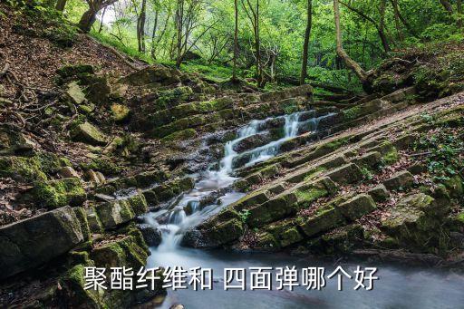 聚酯纖維和 四面彈哪個(gè)好
