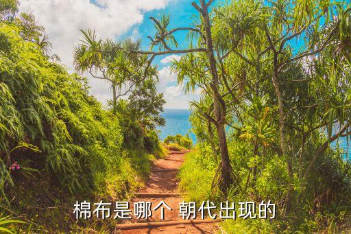 棉布是哪個 朝代出現(xiàn)的