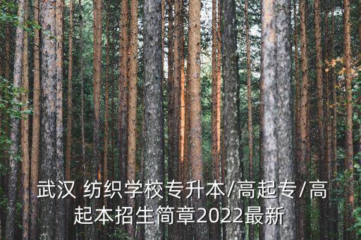  武漢 紡織學校專升本/高起專/高起本招生簡章2022最新