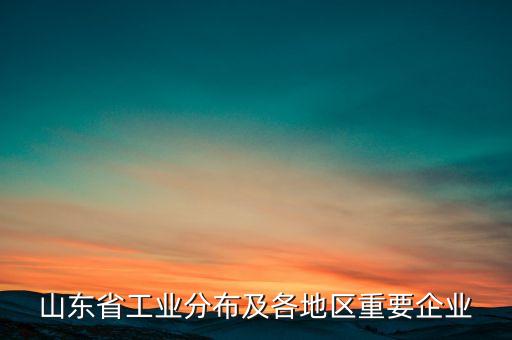山東省工業(yè)分布及各地區(qū)重要企業(yè)