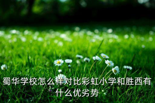 蜀華學(xué)校怎么樣對比彩虹小學(xué)和勝西有什么優(yōu)劣勢