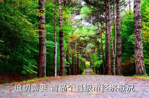 迫切需要 青島個縣級市經(jīng)濟概況