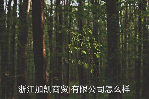 浙江加凱商貿(mào) 有限公司怎么樣