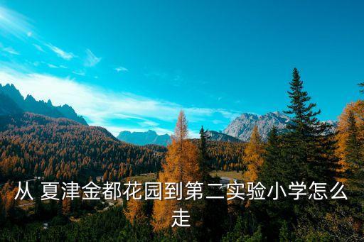 從 夏津金都花園到第二實驗小學(xué)怎么走