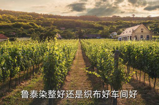 鄒城市魯源大唐紡織有限公司,高密魯源紡織有限公司招聘