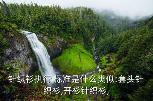 針織衫執(zhí)行 標(biāo)準(zhǔn)是什么類似:套頭針織衫,開衫針織衫,