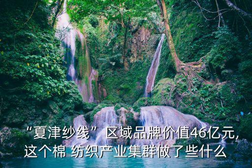 “夏津紗線”區(qū)域品牌價(jià)值46億元,這個(gè)棉 紡織產(chǎn)業(yè)集群做了些什么