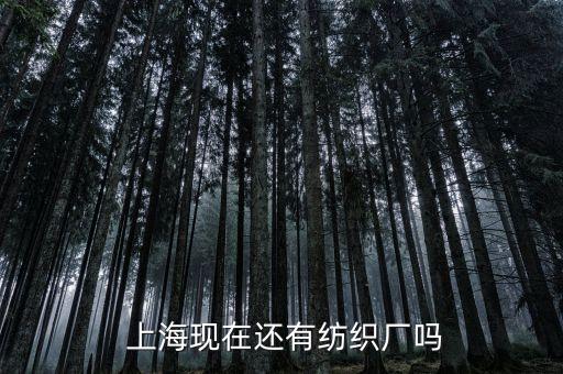  上?，F(xiàn)在還有紡織廠嗎