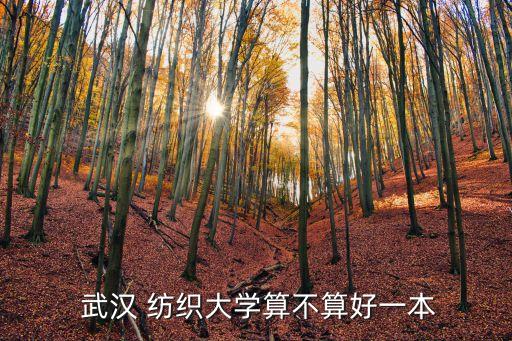  武漢 紡織大學算不算好一本