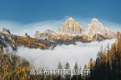 高端布料有哪些牌子