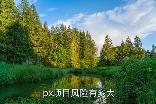  px項目風險有多大
