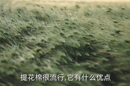  提花棉很流行,它有什么優(yōu)點(diǎn)
