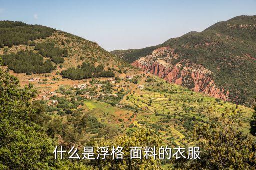 什么是浮格 面料的衣服