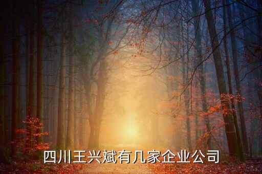 四川王興斌有幾家企業(yè)公司