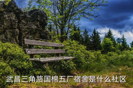 武漢國(guó)棉紡織廠,無錫國(guó)棉紡織廠做什么的
