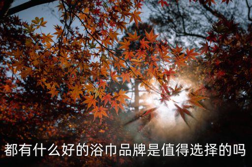 都有什么好的浴巾品牌是值得選擇的嗎