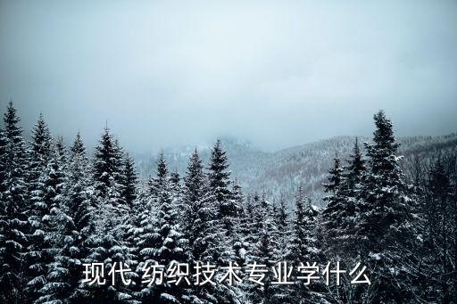 現(xiàn)代 紡織技術(shù)專業(yè)學(xué)什么