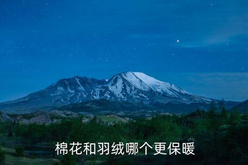  棉花和羽絨哪個(gè)更保暖