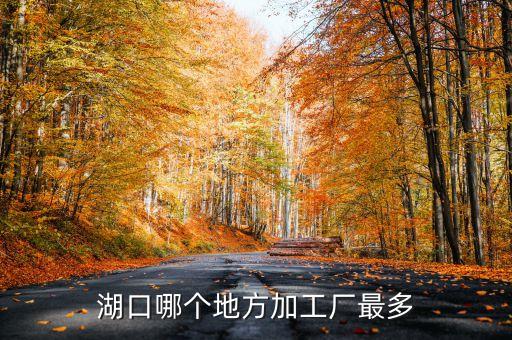 湖口哪個地方加工廠最多