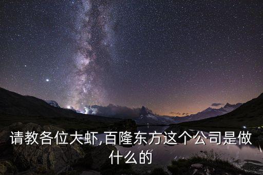 請(qǐng)教各位大蝦,百隆東方這個(gè)公司是做什么的