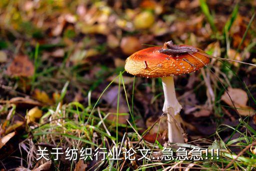 關(guān)于紡織行業(yè)論文..急急急!!!