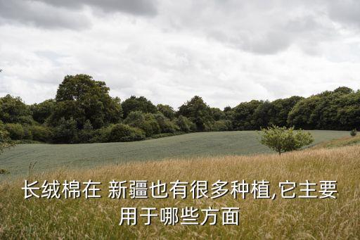 長絨棉在 新疆也有很多種植,它主要用于哪些方面