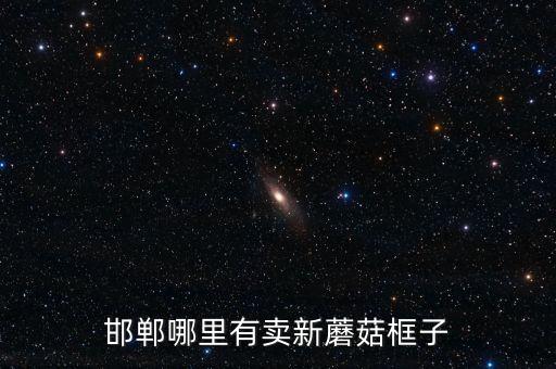 邯鄲哪里有賣(mài)新蘑菇框子