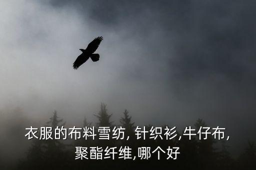 衣服的布料雪紡, 針織衫,牛仔布,聚酯纖維,哪個好