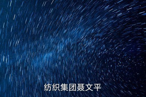 深圳紡織集團聶文平